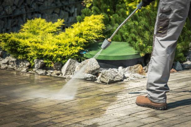 Best Fence Cleaning  in Travis Ranch, TX
